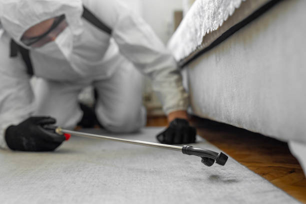 Professional Termite Control technician working in Crittenden, KY