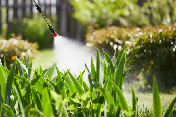 24/7 Emergency Termite Control experts in Crittenden, KY